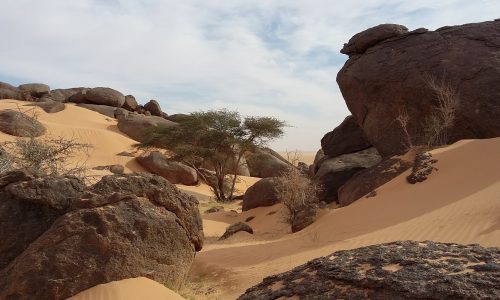 12-Mauritanie-Géographie-photo-2