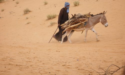 14-Mauritanie-climat-photo-1