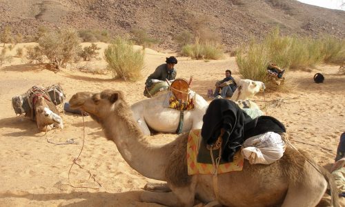 15-Mauritanie-climat-photo-2