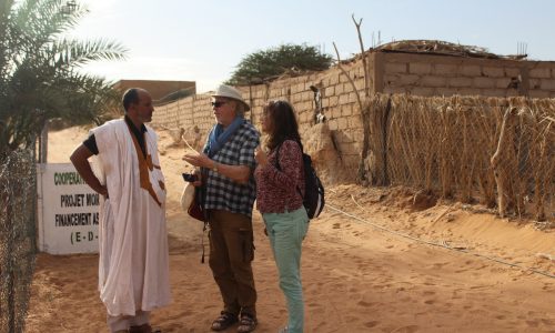 20-moringa-mauritanie-culture-photo-1-1