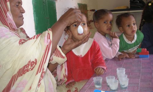 24-moringa-Mauritanie-distribution-photo-2